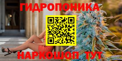 spice Вязники