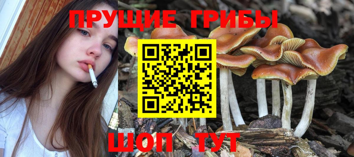 Псилоцибиновые грибы мухоморы Урай